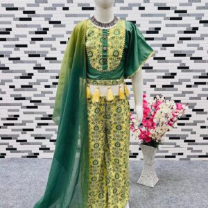 Fancy Choli With Sarara