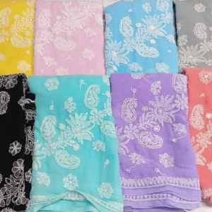 Lucknow Chikankari Chiffon Saree