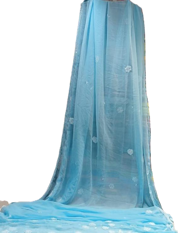 Lucknow Chikankari Chiffon Saree