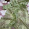 Organza Silk with Lucknowi Chikankari Saree
