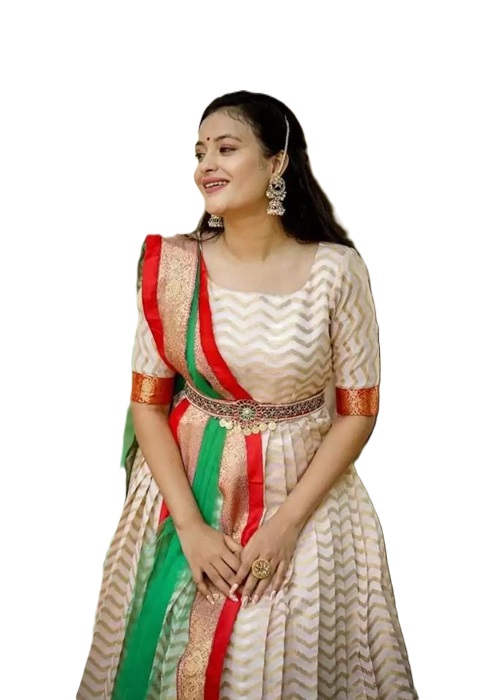 Zigzag Pattu Gown