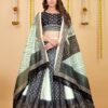 Chinnon Chiffon Lehenga with Zarkan Choli