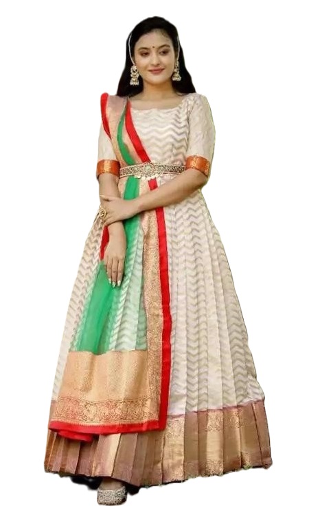 Zigzag Pattu Gown