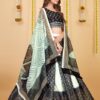Chinnon Chiffon Lehenga with Zarkan Choli