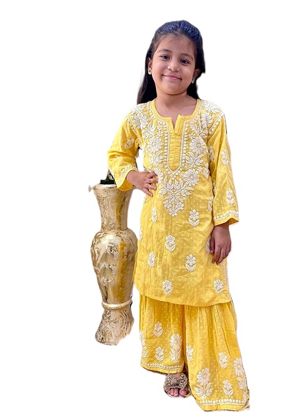 Embroidery Work Top and Sarara