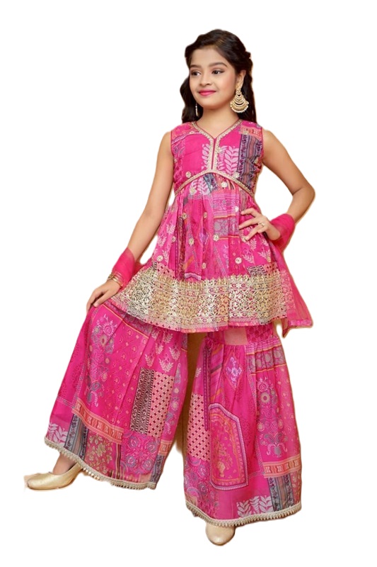 Designer Top and Sarara with Embroidery