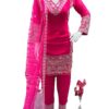 Embroidered Party Wear Suit