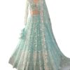 Butterfly Net Lehenga Choli Set