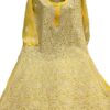 Lucknowi Hand embroidered Front jaal Kurti