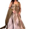 Tabby Silk Organza Kurta and Dupatta Set
