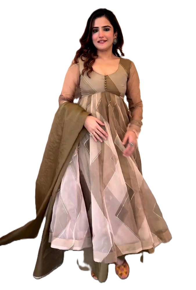 Tabby Silk Organza Kurta and Dupatta Set