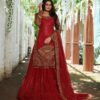 Embroidered Lehenga with Designer Long Top